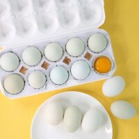 자연방사 숲속청란 40란