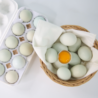 자연방사 숲속청란 30란