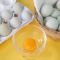 정기배송]자연방사 숲속청란 30란 5회발송